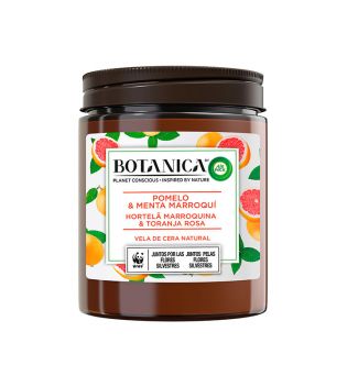 Air Wick - *BOTANICA by Air Wick* - Scented natural wax candle - Grapefruit & Moroccan Mint