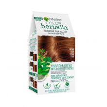 Garnier - 100% vegetable coloring Color Herbalia - Warm chestnut